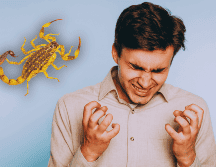 Descubre por qué confiar en tu mal genio podría costarte la vida ante la picadura de un alacrán y qué dice realmente la ciencia médica hoy. ESPECIAL / CANVA
