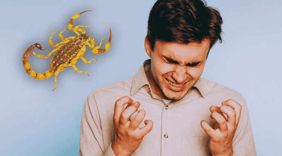 Descubre por qué confiar en tu mal genio podría costarte la vida ante la picadura de un alacrán y qué dice realmente la ciencia médica hoy. ESPECIAL / CANVA