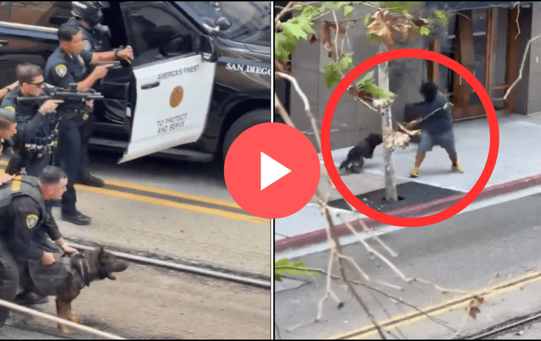 El video viral muestra cómo el perro policía es liberado y corre directamente hacia el sospechoso, sin dudar ante el peligro. X / BREAKING911