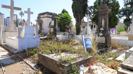 Advierten de acumulación de basura en jardineras y senderos, además de que hay 