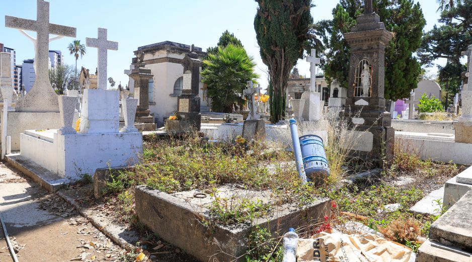 Advierten de acumulación de basura en jardineras y senderos, además de que hay 