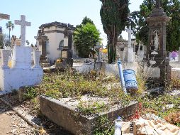 Advierten de acumulación de basura en jardineras y senderos, además de que hay 