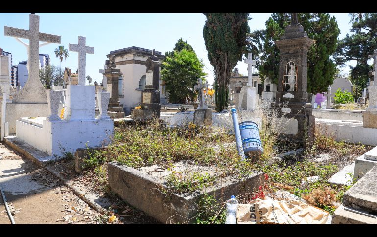 Advierten de acumulación de basura en jardineras y senderos, además de que hay 