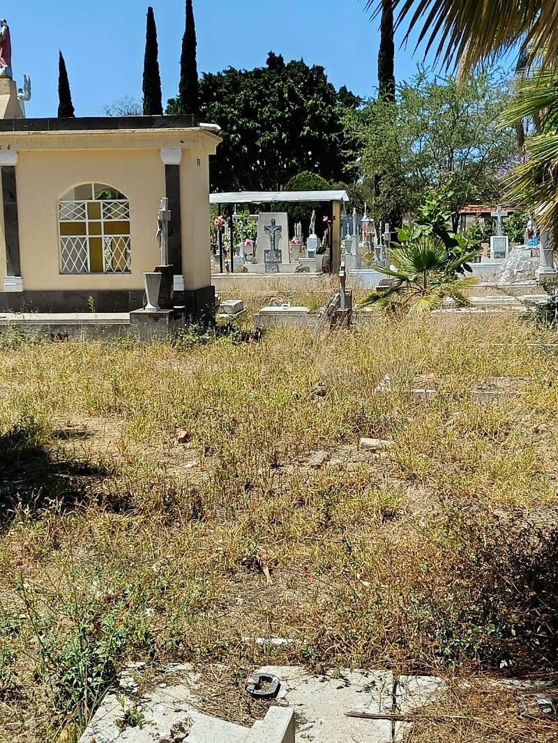 Los jardines lucen con maleza de huizapol. ESPECIAL