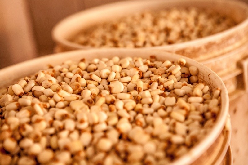 La nixtamalización transforma la estructura del grano de maíz, mejorando drásticamente su digestibilidad.&nbsp;EL INFORMADOR / ARCHIVO