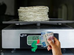 El Consejo Nacional de la Tortilla asegura que es insostenible mantener el precio del kilo de tortilla ante el contexto actual. EL INFORMADOR / ARCHIVO