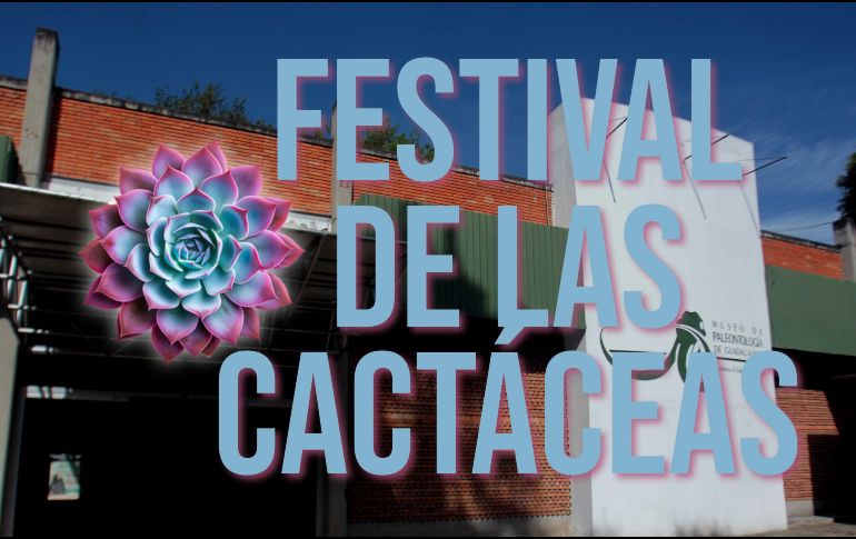 Esto es todo lo que debes saber para disfrutar de un gran plan el próximo fin de semana en Guadalajara. EL INFORMADOR / ARCHIVO