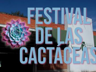 Esto es todo lo que debes saber para disfrutar de un gran plan el próximo fin de semana en Guadalajara. EL INFORMADOR / ARCHIVO