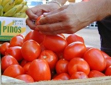 El jitomate no sólo está caro en México... ¡también en Estados Unidos subió muchísimo! EL INFORMADOR/ARCHIVO