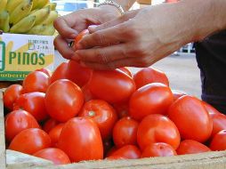 El jitomate no sólo está caro en México... ¡también en Estados Unidos subió muchísimo! EL INFORMADOR/ARCHIVO