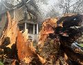 Un árbol arrancado de raíz se apoya en una vivienda tras una fuerte tormenta en Ann Arbor, Michigan. AP/M. Householder