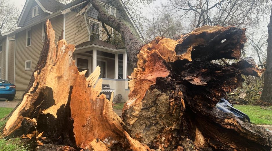 Un árbol arrancado de raíz se apoya en una vivienda tras una fuerte tormenta en Ann Arbor, Michigan. AP/M. Householder