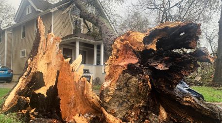 Un árbol arrancado de raíz se apoya en una vivienda tras una fuerte tormenta en Ann Arbor, Michigan. AP/M. Householder