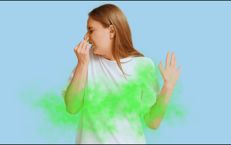 Al final, lavar ropa deportiva para que no huela mal no es cuestión de comprar productos milagro, sino de ajustar unos cuantos hábitos: menos suavizante, más ventilación y ciclos cortos pero estratégicos. ESPECIAL / CANVA