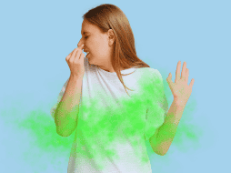 Al final, lavar ropa deportiva para que no huela mal no es cuestión de comprar productos milagro, sino de ajustar unos cuantos hábitos: menos suavizante, más ventilación y ciclos cortos pero estratégicos. ESPECIAL / CANVA