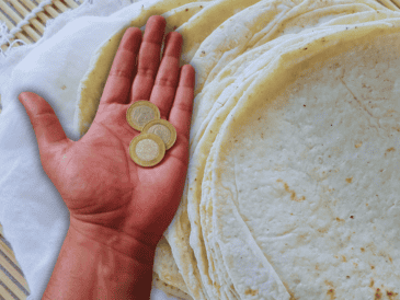 En colonias tradicionales de Guadalajara como Santa Tere o Providencia, los vecinos reportan con preocupación que el kilo ya roza los 30 y hasta 33 pesos. EL INFORMADOR / O. Álvarez / ESPECIAL / CANVA