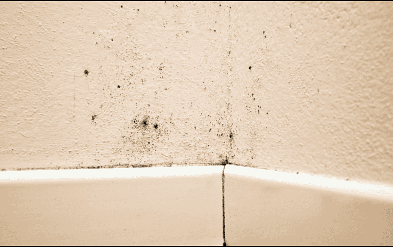 De acuerdo con estudios de universidades como la Harvard University, vivir en ambientes con humedad constante puede agravar alergias, asma y otras afecciones respiratorias. CANVA