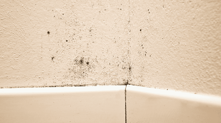 De acuerdo con estudios de universidades como la Harvard University, vivir en ambientes con humedad constante puede agravar alergias, asma y otras afecciones respiratorias. CANVA