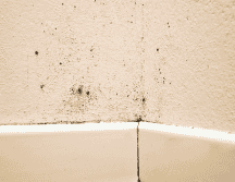 De acuerdo con estudios de universidades como la Harvard University, vivir en ambientes con humedad constante puede agravar alergias, asma y otras afecciones respiratorias. CANVA