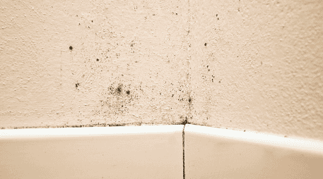 De acuerdo con estudios de universidades como la Harvard University, vivir en ambientes con humedad constante puede agravar alergias, asma y otras afecciones respiratorias. CANVA