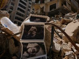 Imágenes de ecografías de un bebé yacenentre los escombros de un edificio destruido que fue alcanzado hace una semana por un bombardeo israelí contra el centro de Beirut, Líbano. AP/H. Malla