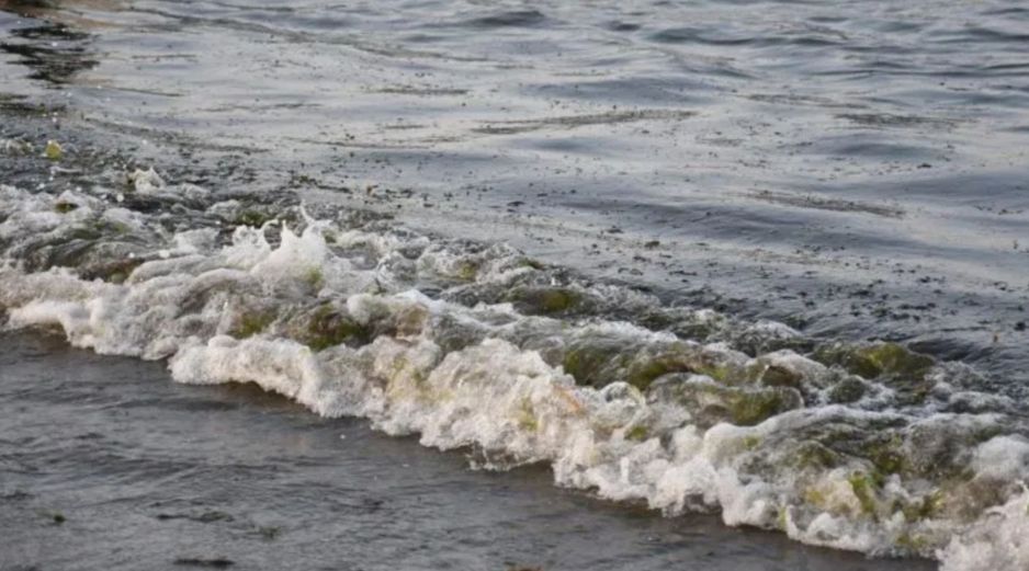 El derrame reportado desde febrero de 2026 en el Golfo de México fue provocado por una fuga en un ducto del complejo Cantarell. EFE/ ARCHIVO.