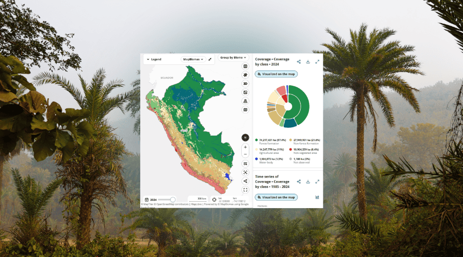 La región alberga más del 10% de las especies conocidas del planeta. CANVA/MAPBIOMASPERU/ESPECIAL