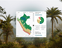 La región alberga más del 10% de las especies conocidas del planeta. CANVA/MAPBIOMASPERU/ESPECIAL