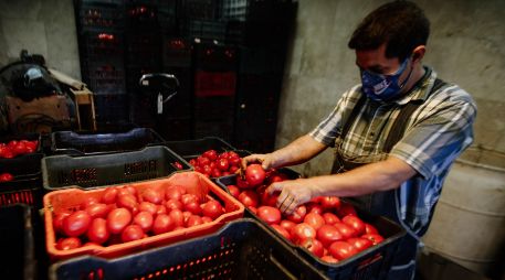 El mayor incremento en el precio del jitomate se observó en el medio mayoreo, con un 37.3% de subida en la Ciudad de México. EL INFORMADOR/ARCHIVO