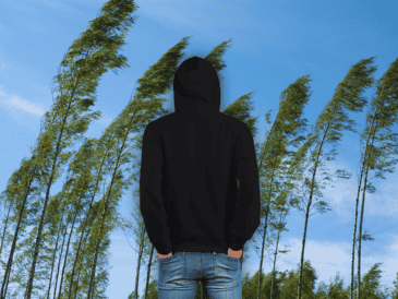 Clima en México: Descubre si tu estado enfrentará heladas, vientos huracanados o si la ola de calor continuará asfixiando tu ciudad. ¡No dejes que te sorprenda hoy! ESPECIAL / CANVA