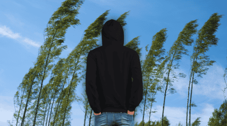 Clima en México: Descubre si tu estado enfrentará heladas, vientos huracanados o si la ola de calor continuará asfixiando tu ciudad. ¡No dejes que te sorprenda hoy! ESPECIAL / CANVA