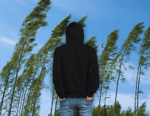 Clima en México: Descubre si tu estado enfrentará heladas, vientos huracanados o si la ola de calor continuará asfixiando tu ciudad. ¡No dejes que te sorprenda hoy! ESPECIAL / CANVA