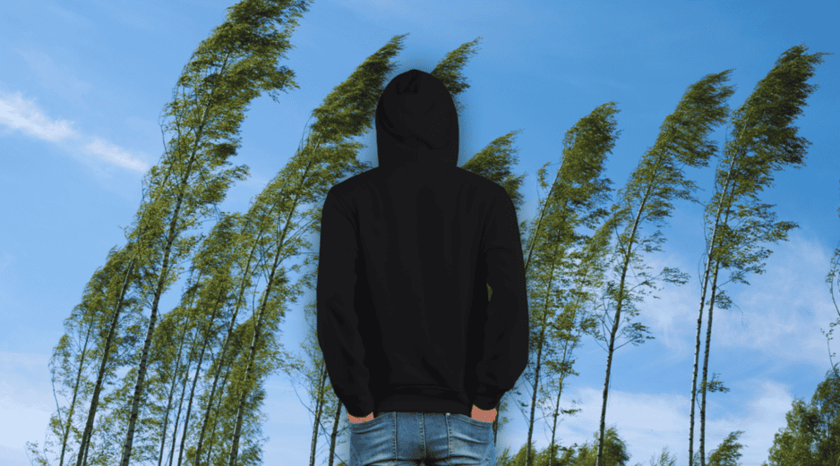 Clima en México: Descubre si tu estado enfrentará heladas, vientos huracanados o si la ola de calor continuará asfixiando tu ciudad. ¡No dejes que te sorprenda hoy! ESPECIAL / CANVA