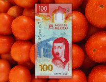 El kilo de jitomate saladette en mercados y tiendas de autoservicio se vendió entre los 28 y 60 pesos el kilo en los últimos días, en tanto que el bola está en un rango de 60 a 98 pesos, en la Ciudad de México. ESPECIAL / CANVA