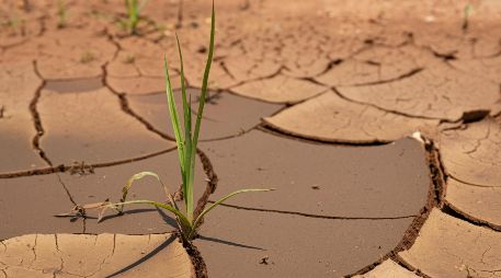 Este proyecto refleja el valor de la coordinación trinacional para transformar desafíos que trascienden fronteras en oportunidades para impulsar la paz y el desarrollo. UNSPLASH / C. BADENHORST