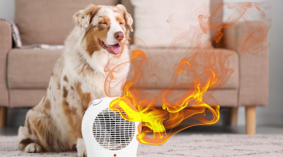 Para actuar con rapidez, es importante que los dueños sepan identificar cuándo su mascota está sufriendo por las altas temperaturas. ESPECIAL / CANVA