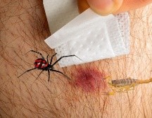 Los expertos en toxicología y Protección Civil coinciden en que los primeros auxilios correctos en casa son el primer eslabón para salvar vidas. ESPECIAL / CANVA