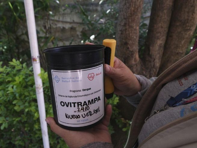 Salud Jalisco instala 15 mil ovitrampas en Jalisco para vigilar y prevenir la propagación del dengue. CORTESÍA