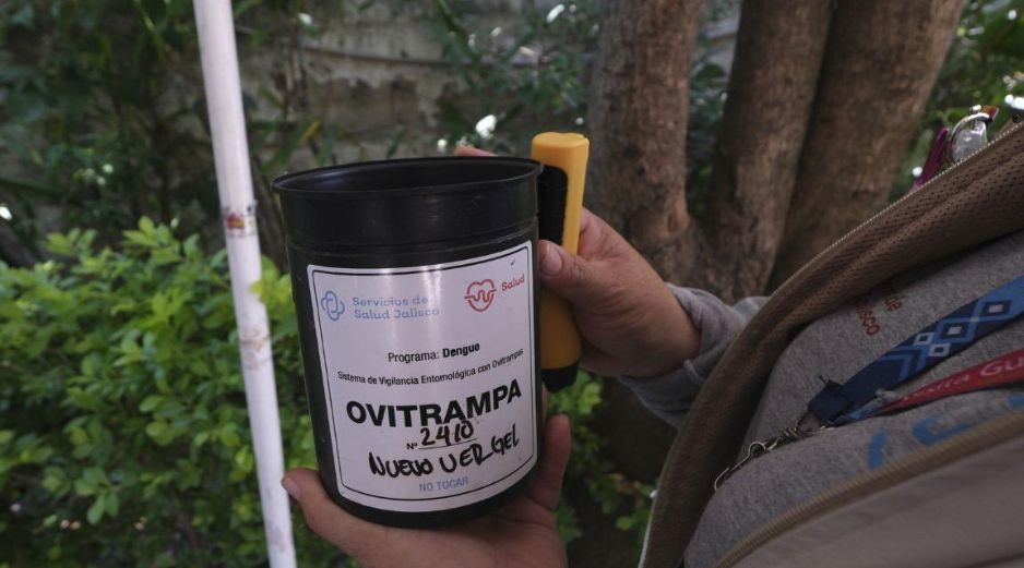 Salud Jalisco instala 15 mil ovitrampas en Jalisco para vigilar y prevenir la propagación del dengue. CORTESÍA