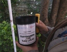 Salud Jalisco instala 15 mil ovitrampas en Jalisco para vigilar y prevenir la propagación del dengue. CORTESÍA