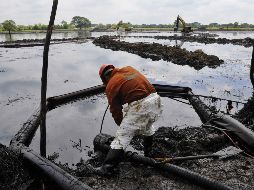El Gobierno mexicano concluyó que 