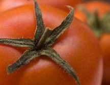 El jitomate alcanzó precios de hasta 98 pesos el kilo en algunas regiones de México. ESPECIAL/PEXELS