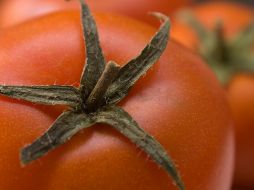 El jitomate alcanzó precios de hasta 98 pesos el kilo en algunas regiones de México. ESPECIAL/PEXELS