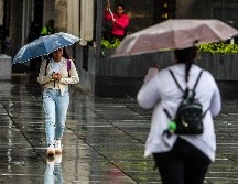 La primavera trae consigo cambios importantes en el clima y fenómenos que sorprenden en varias regiones. EL INFORMADOR/ARCHIVO