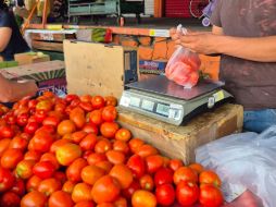 El Índice Nacional de Precios al Consumidor (INPC) registró un aumento histórico en esta hortaliza básica. EL INFORMADOR / J. Velazco