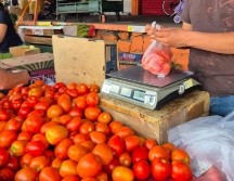 El Índice Nacional de Precios al Consumidor (INPC) registró un aumento histórico en esta hortaliza básica. EL INFORMADOR / J. Velazco