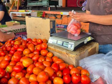 El Índice Nacional de Precios al Consumidor (INPC) registró un aumento histórico en esta hortaliza básica. EL INFORMADOR / J. Velazco