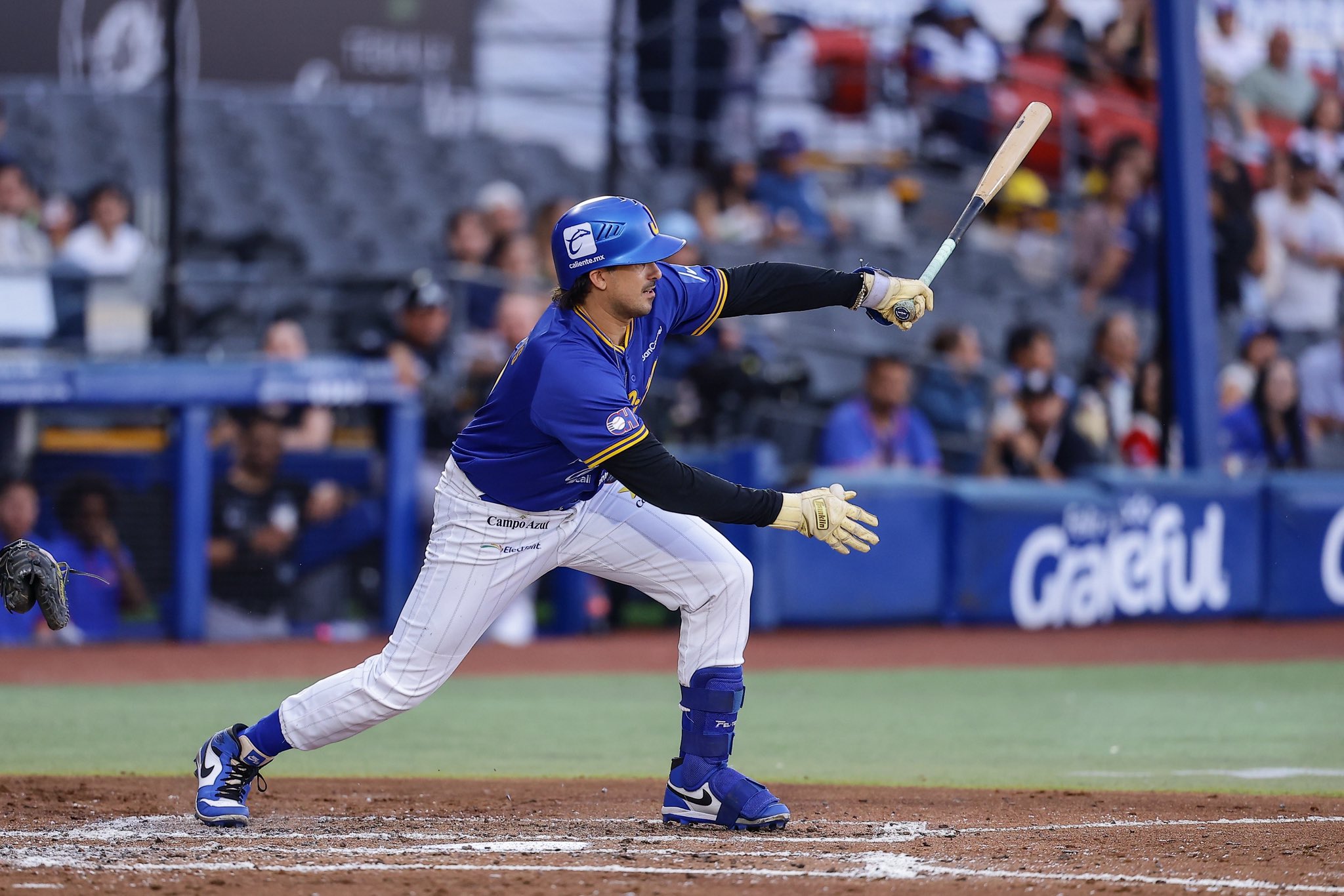 CORTESÍA/ CHARROS DE JALISCO.