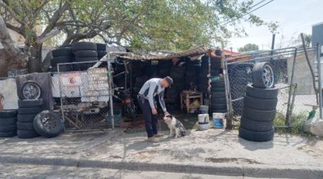 Los hechos ocurrieron el pasado 14 de abril, cuando el animal fue arrebatado en la vía pública a dos menores de edad en la colonia Colinas de San Miguel. CORTESÍA/ Fiscalía de Jalisco.