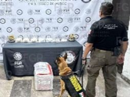 Los hechos fueron notificados al Ministerio Público correspondiente, en espera de que se reúnan los indicios necesarios para dar con la persona o las personas responsables. CORTESÍA